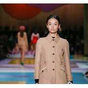 Miu Miu 2017春夏系列 (53)